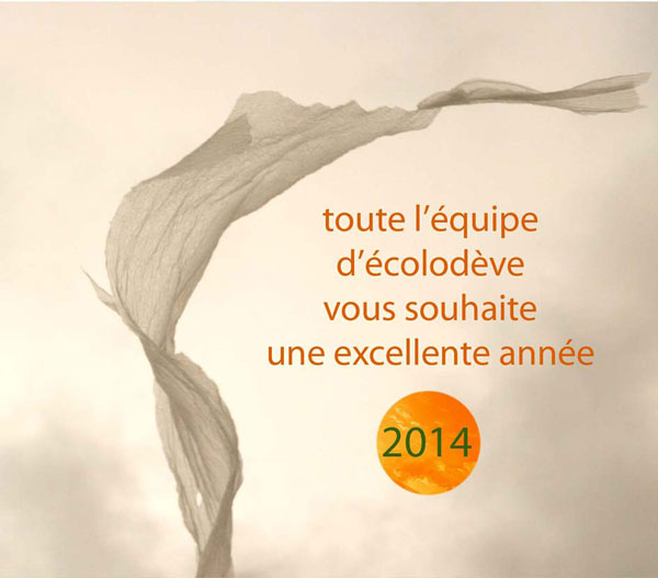 voeux2014