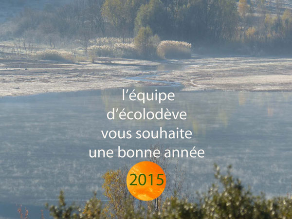 voeux2015