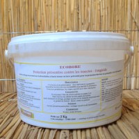 Ecobore, en pot